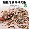 Arroz Integral Orgânico Sete Cores Nordeste Arroz Novo Loja Oficial Principal Arroz Integral Misto Mingau de Grãos Mistos Bolinhos de Arroz Integral Misto 1,1kg