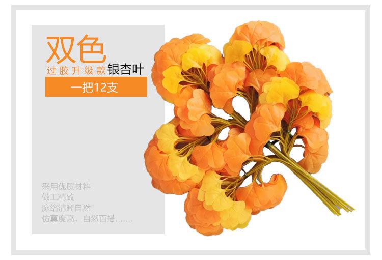 银杏叶详情_06.jpg