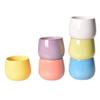 Maceta de Cerámica Transfronteriza Escandinava Creativa Simple Suculenta Maceta de Porcelana Combinación Redonda Planta Verde Maceta Macaron Jardinería