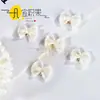 Lazo de Perlas Doradas con Encaje Suave Estilo Francés, Lencería, Zapatos, Calcetines Caja de Regalo Accesorios Decorativos DIY