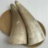 Chifre amarelo chifre de iaque branco tubo de estação tubo raspador chifre ventosaterapia atacado ornamentos de meridianos artesanato fabricantes de cuidados com a saúde