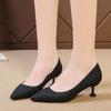 2025 Otoño Nuevo Tacones Altos Plateados Mujer Tacón de Aguja Negro Sexy Versátil Francés Lentejuelas Zapatos de Niña