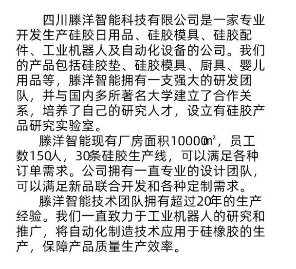公司介绍