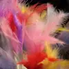 Caña Larga para Gatos con Pluma y Cascabel, Varita de Hada Resistente a Mordidas, Artefacto de Juego para Gatos al por Mayor