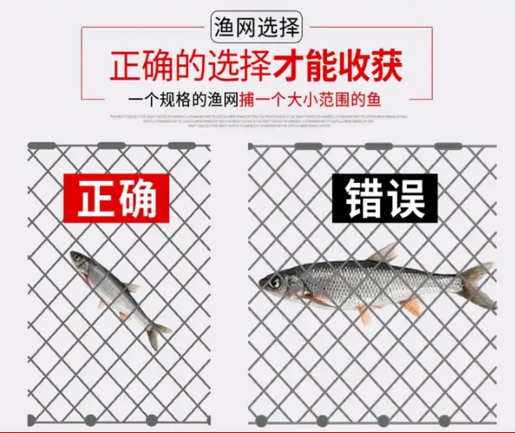 渔网正确错误选择