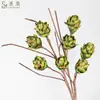 Plantas Verdes Artificiais Simuladas, Móveis para Casa, Pinhas Decorativas, Adereços para Fotografia de Frutas de Eva, Arranjos de Flores Suculentas, Arranjos Florais