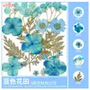 Paquete de Materiales DIY de Flores Secas Flores Prensadas Hechas a Mano Flores Conservadas Marcadores de Libros de Flores Prensadas Hojas de Árbol Real Plantas Pegatinas de Resina Maquillaje Facial