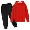 Sudadera de Color Sólido con Forro de Polar para Niños Otoño 2026 Conjunto de Ropa de Moda para Niños Sudadera con Capucha Fabricante En Stock con Impresión de Logo