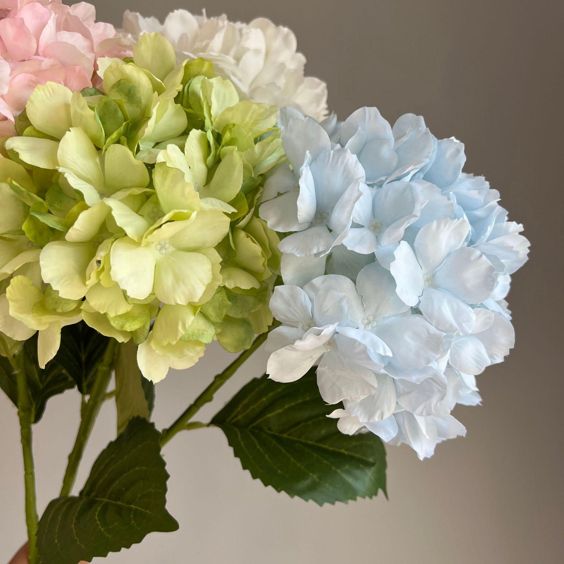 微信图片_20221206101349