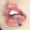 Rosca Interna Hueso Garra de Gato Uña de Labio Anillo de Labio Colección Acero de Titanio Lindo Dulce Genial Hueso de Oreja Uña de Labio Joyería para Perforación