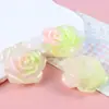 Múltiplas Opções Disponíveis~ Luminous Semi-Transparent Ab Colorido Rosa Resina Patches Acessórios para Joias DIY Materiais Atacado