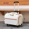 Caja Carrito para Mascotas Doble Capa Bolsa para Salir con Dos Gatos Transpirable Primavera y Verano Carrito para Salir con Perro Gran Capacidad Plegable