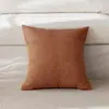 Funda de Almohada de Hilo de Bucle Amazon Moderna Simple de Alta Gama Artística Almohada de Doble Cara de Cuero Cojín de Sofá de Celebridad de Internet