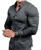 Camisa Nueva de Manga Larga para Hombre Otoño Primavera Cross Europe Estampado 3D Casual de Negocios Sin Planchar Color Sólido Camisa con Cuello