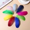 Atacado de fábrica DIY pena colorida alta qualidade pena de ganso joia flutuante pena bola de onda material de enchimento de pena