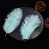 Accesorios de ropa de plumas de avestruz de colores materiales de decoración de bodas accesorios de plumas hechos a mano DIY decoración del hogar