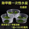 Recipiente de agua desechable sin formaldehído, lonchera de gran capacidad sin tapa, recipiente redondo para cangrejos de río, caja para comida para llevar, plato de frutas