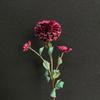 1 cabeça 3 brácteas dália simulação dália fotografia fotografia adereços crisântemo casa hotel cenário floral arte