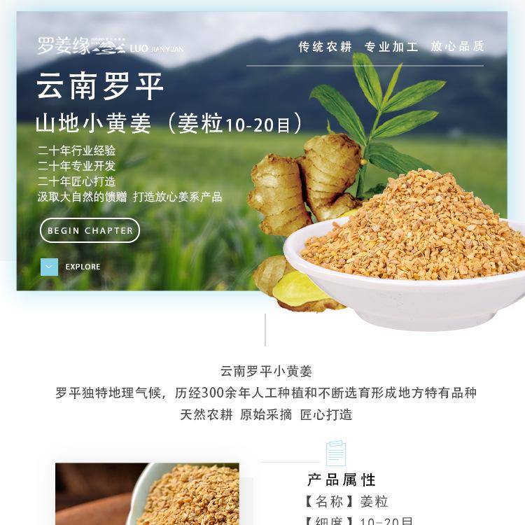 1688干姜粒10-20目_01.jpg