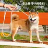 Collar de nylon para perros medianos y grandes, correa para perros a prueba de explosiones, correa de entrenamiento para perros con hebilla de seguridad, correa antipérdida para pasear perros en todas las estaciones