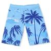 Calça de Praia Masculina Tamanho Grande Solta Masculina Anti-constrangimento Férias em Fonte Termal Shorts de Natação