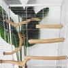 Pájaro madera de peral natural estación barra pájaro percha madera transfronteriza explosiones accesorios jaula pájaro loro estación barra fábrica directa en stock