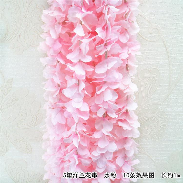 5瓣洋兰 水粉色.jpg