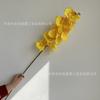 Nova flor de simulação Phalaenopsis fita Phalaenopsis auditório de casamento teto alta Estrada decorativa flores de comércio exterior