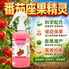 Agente Fijador de Fruto Específico para Tomate Polinización Plumero para Flores Protección de Flores Protección de Frutos Aumenta la Tasa de Fijación de Frutos Un Toque es Efectivo Tomate