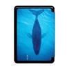 100 Patrón en stock kindle2019 Edición Juvenil E-book Estuche Protector Pintado 658 Impresión a Color Estuche Protector