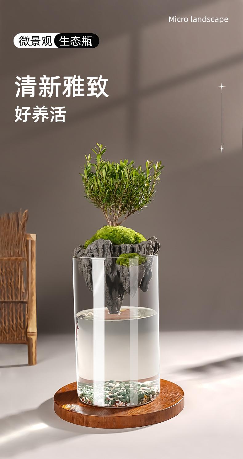 微景观详情_01.jpg