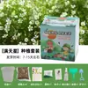 Plantas en Maceta Hechas a Mano para Niños Estudiantes de Primaria para Observar el Crecimiento de las Plantas Cultivo y Germinación DIY Mini Plantas Verdes en Maceta