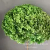 Flor Eterna Folha Pequena Hortênsia Anna Flor Seca Flor Real Estilo Escandinavo Props para Fotos Ins Buquê de Casamento Pronto Decoração