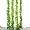 Hoja de vid trepadora planta verde árbol hoja tubería techo decoración plástico pothos dinero hoja verde enroscada