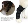 Rehabilitación Postoperatoria de Rodilla para Mascotas Perro Mascota Rodilla Exterior Set Protector de Articulaciones para Mascotas Gato y Perro Set Protector Suministros para Mascotas