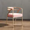 Silla de Comedor de Hierro Forjado de Lujo Nórdico Silla con Respaldo para el Hogar Silla de Ocio Moderna para Restaurante Celebridad de Internet Silla de Oficina para Restaurante de Hotel