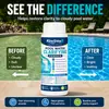 El Polvo Purificador Clarificante para Piscinas KineShineX se dispersa rápidamente y ayuda a la sedimentación de partículas suspendidas, trabajando en conjunto con el sistema de circulación.