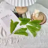 Hojas de Jacinto de Agua Artificiales, Hojas Artificiales, Accesorios de Enredadera Artificiales, Flores Artificiales, Hojas de Plantas Verdes Artificiales, Hojas Artificiales Pegadas