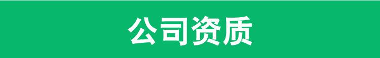 B24切片21