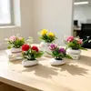 Suministro directo transfronterizo de dos crisantemos de bola en macetas planas pequeñas, bonsáis de flores artificiales para escritorios de oficina, plantas verdes decorativas de escritorio