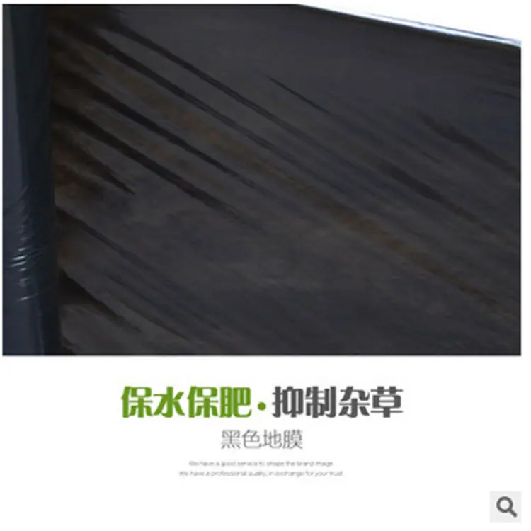 3951316493_859603845_副本