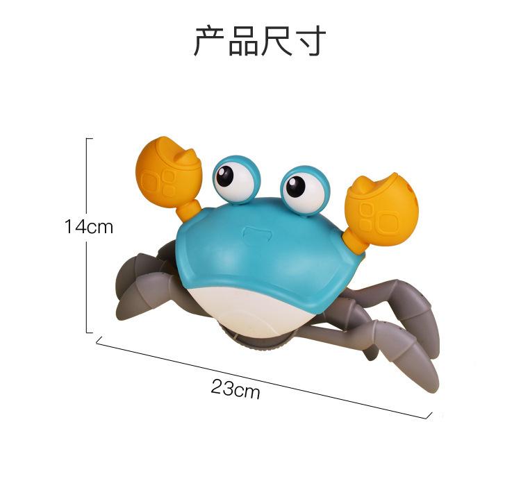 水陆螃蟹