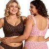 Sutiã de gelo com estampa de leopardo, hot-selling da TK Amazon para comércio exterior, lingerie plus size, atacado de lingerie de origem transfronteiriça