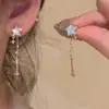 Presilha de Orelha com Franja de Estrela Super Fada Feminina Acessível Luxo Brincos Longos Elegantes Ins Nova Popularidade Nicho Novos Brincos Versátil