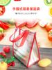 Bolsa Térmica para Sorvete Catering Descartável Comida Pizza Para Levar Sacola Isotérmica Caixa Churrasco Espessura Refrigerada Congelamento