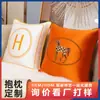 Almohadas Personalizadas Amazon Transfronterizas Cojines para Sofá Bordado Imitación Seda Lujo Ligero Hotel Mesita de Noche Lumbar