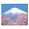 Paisaje DIY pintura al óleo digital planta pintura pintada a mano flor pintura decorativa pintada a mano pintura al óleo de pared relleno LY