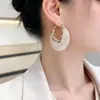 Pendientes de plata S925 con malla de circonita Super Flash, exquisitos, con aguja, para mujer, modernos, ligeros, de lujo, de nicho, con diseño avanzado.