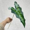 Planta verde artificial de 5 hojas grandes de taro, hoja única de taro grande, decoración para bodas, planta verde falsa en maceta, venta al por mayor
