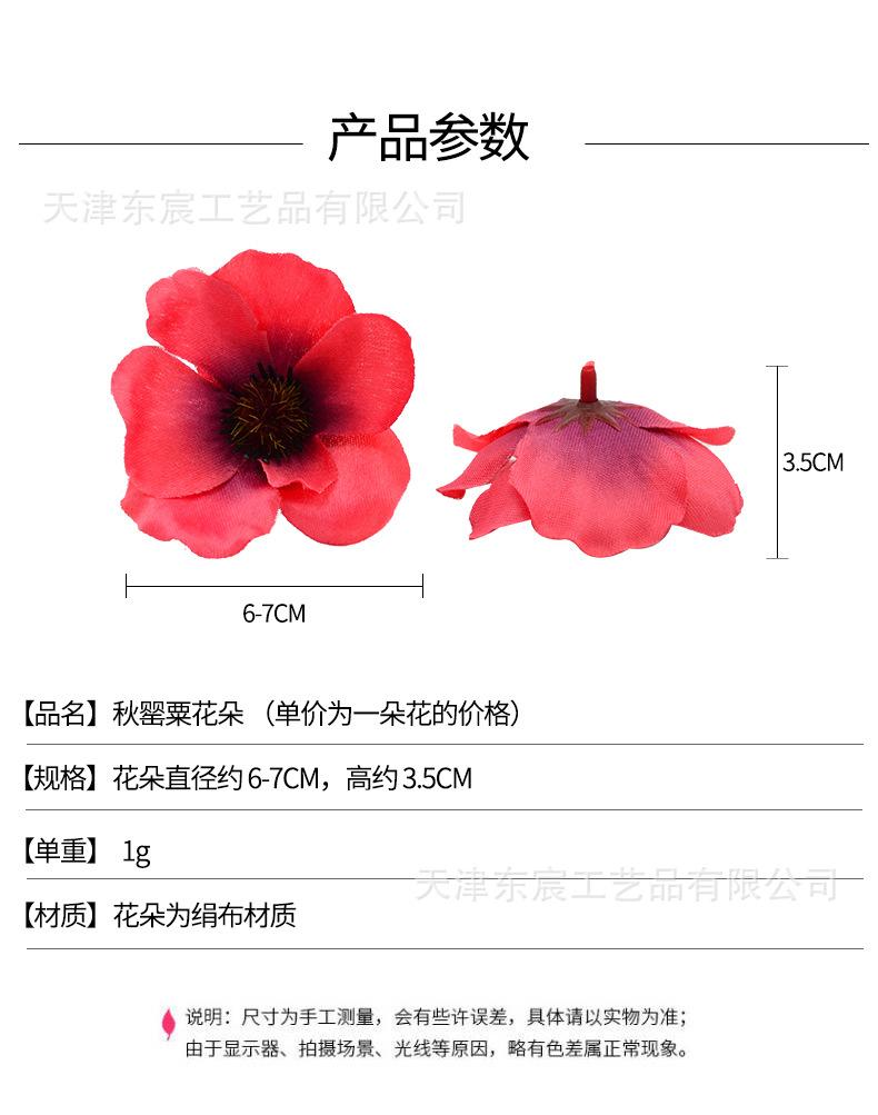 详情_01.jpg
